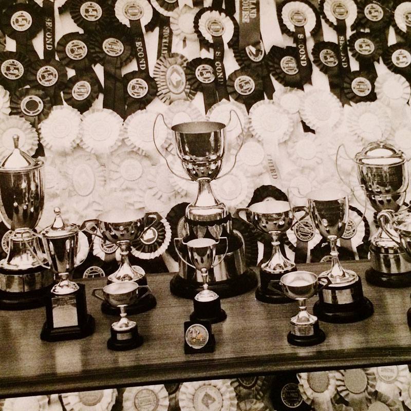 trofeos personalizados